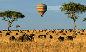 africa-banner